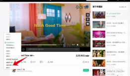 网站视频在线观看